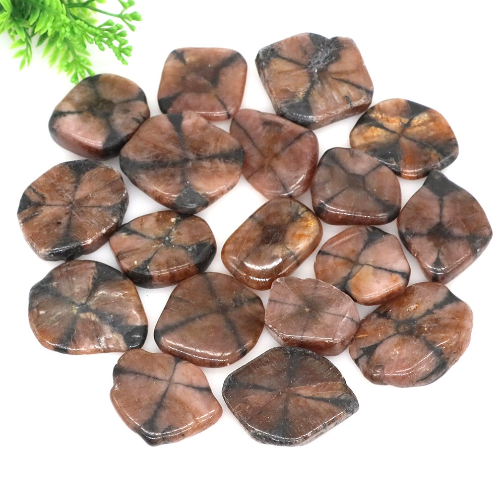 Aquarium Marine Stone - Natural Cross Chiastolite Quartz Crystals Healing