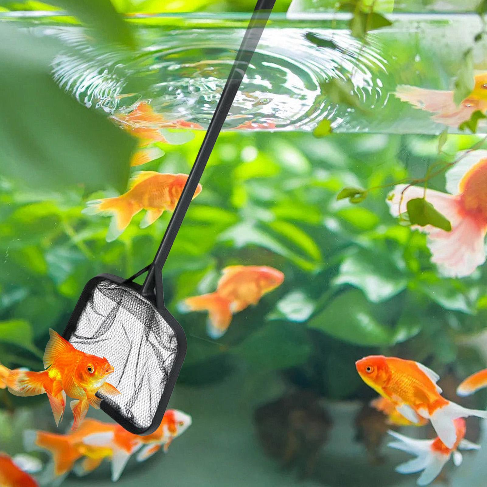 Pool Nets for Cleaning Portabl - Aquarium Marine recension och pris
