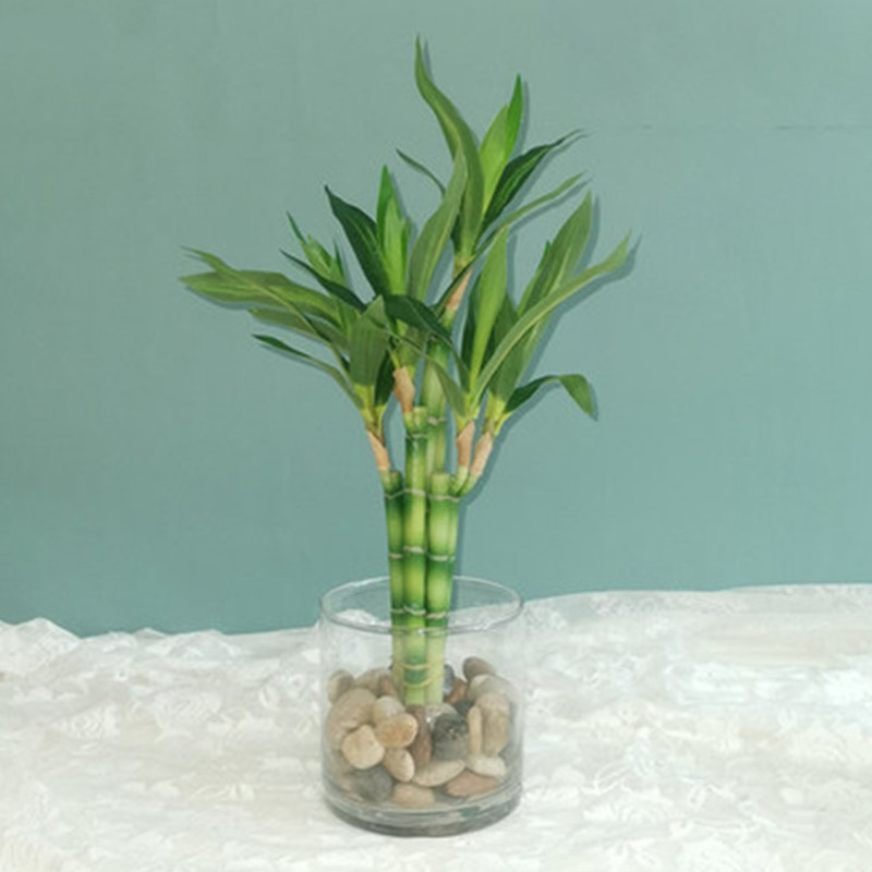 New 40cm rFtificial Lucky Bamb - Aquarium Marine Fish recension och pris