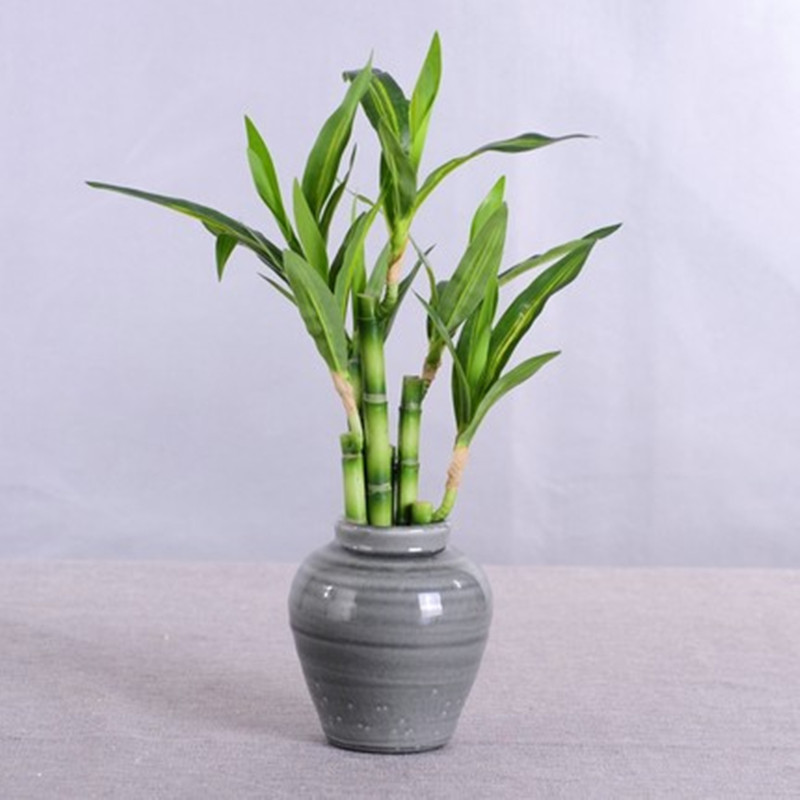 New 40cm rFtificial Lucky Bamb - Aquarium Marine Fish recension och pris