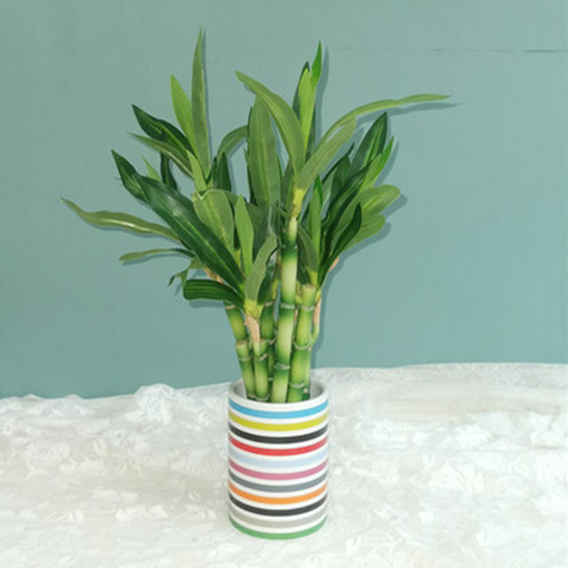 New 40cm rFtificial Lucky Bamb - Aquarium Marine Fish recension och pris