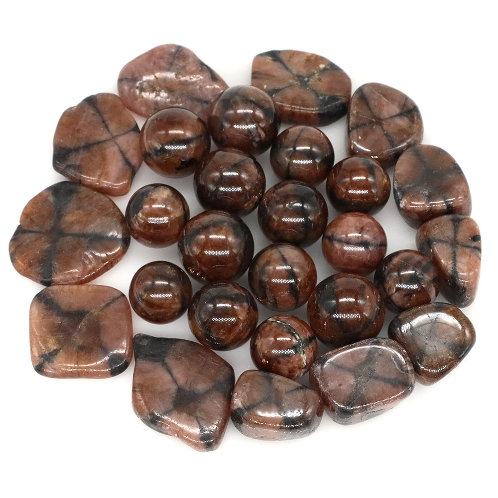 Natural Cross Chiastolite Quar - Aquarium Marine Stone recension och pris
