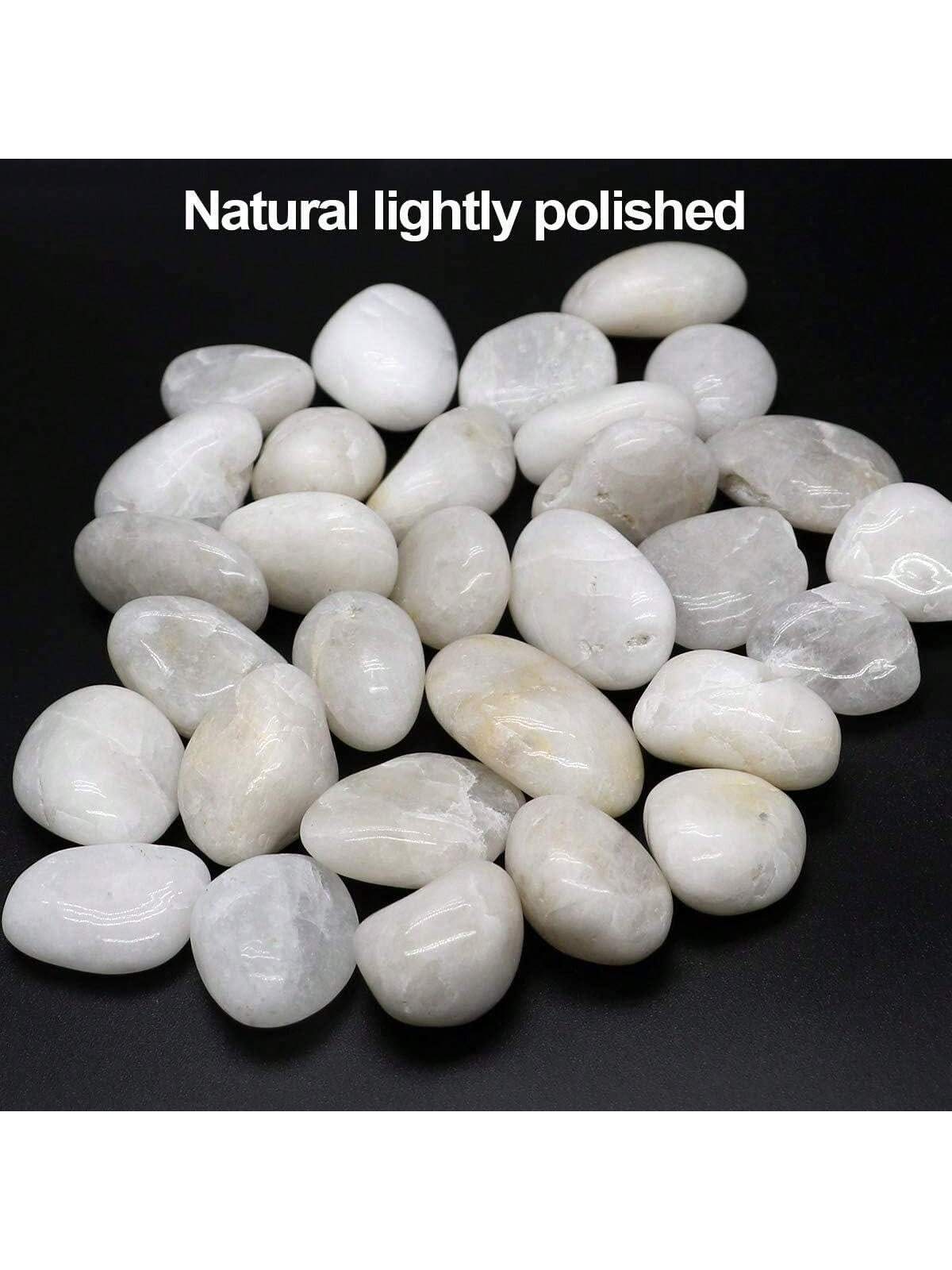 River Rocks Decorative Ornamen - Aquarium Marine Stone recension och pris