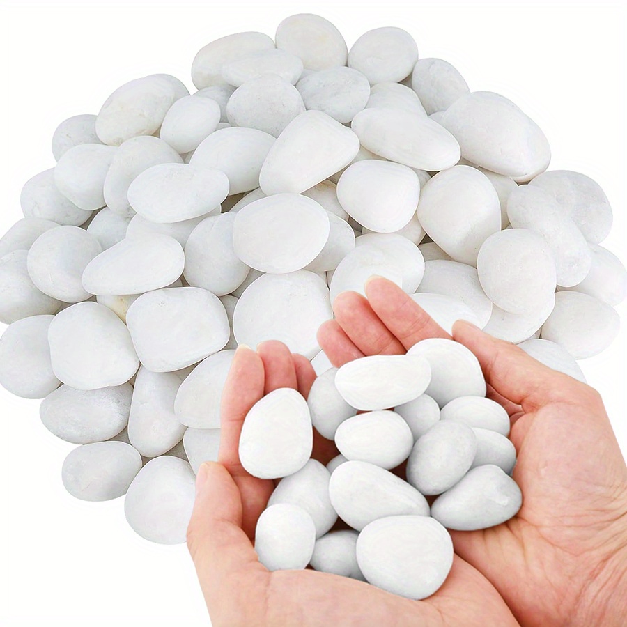 200/400g White High Polished N - Aquarium Marine Fish recension och pris