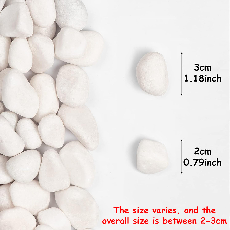 200/400g White High Polished N - Aquarium Marine Fish recension och pris