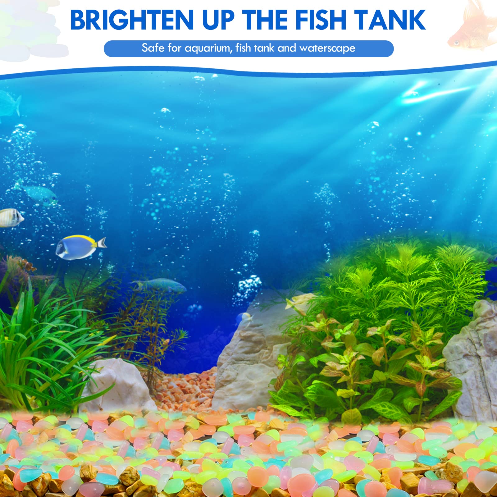 100Pcs Glow in the Dark Garden - Aquarium Marine Stone recension och pris
